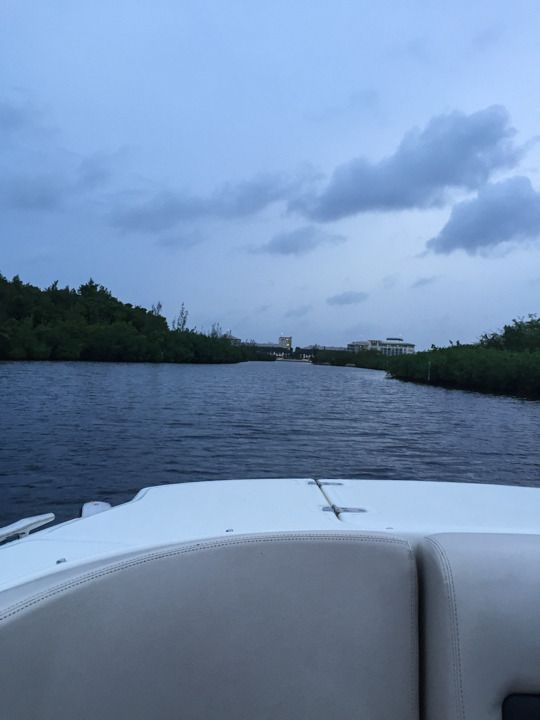  photo Grand Cayman-62_zpshdyzrwy4.jpg