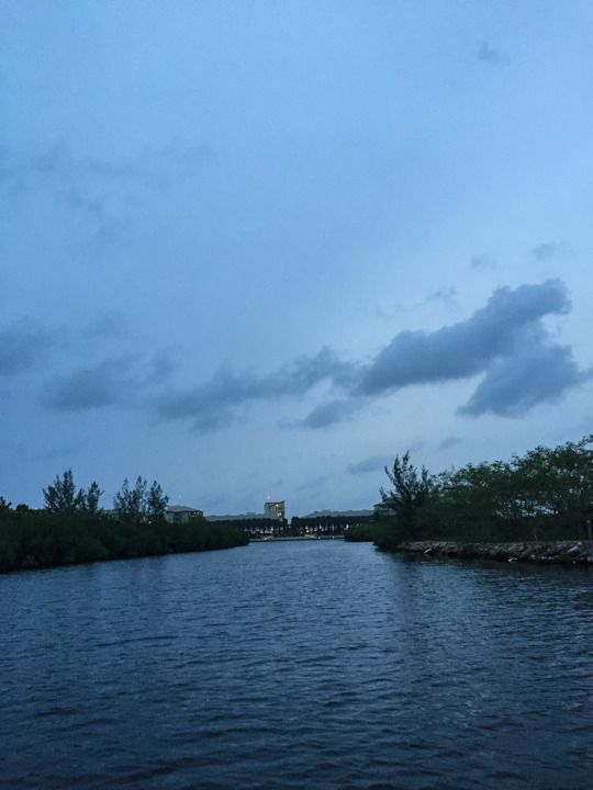  photo Grand Cayman-63_zpswaioewwn.jpg