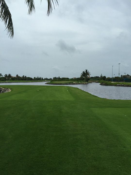  photo Grand Cayman-73_zpsswsgn774.jpg