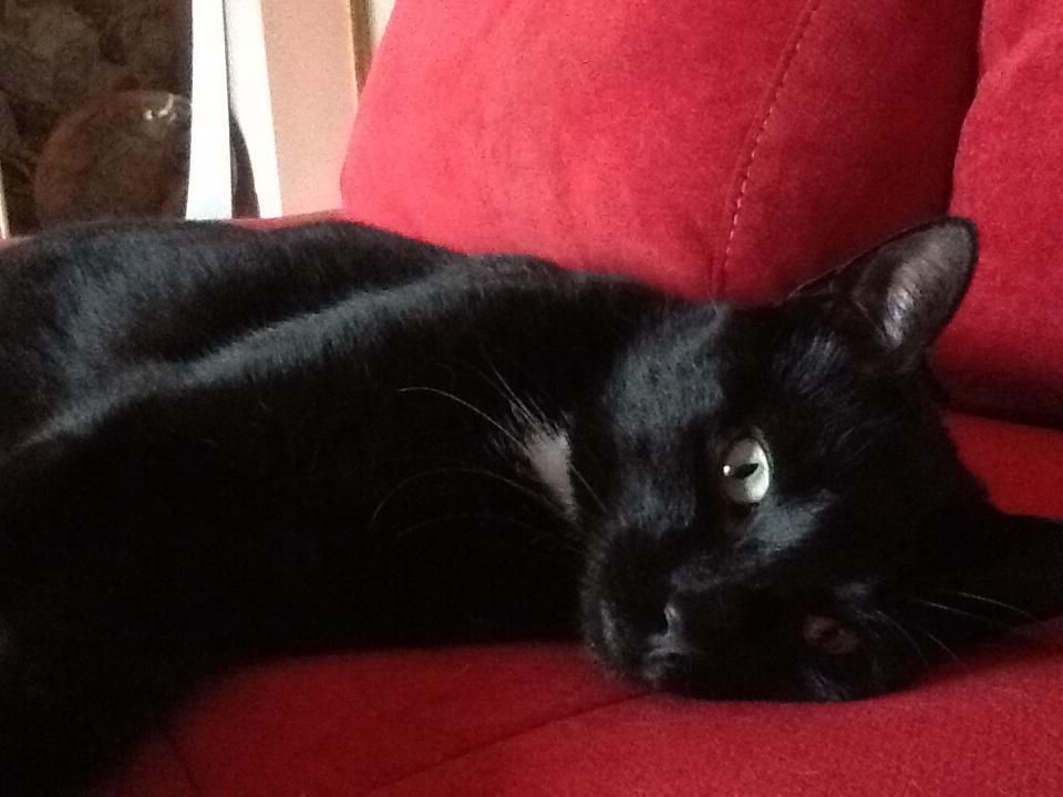 f7d9a76d-0ed7-418e-b1f0-095cec0b35c4_zps