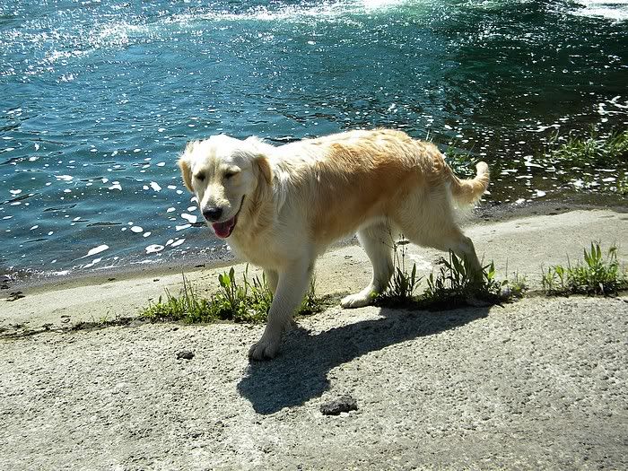 DSCN6164.jpg