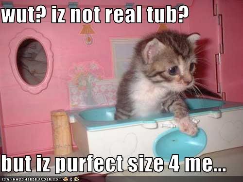 funny-pictures-kitten-is-in-tub.jpg