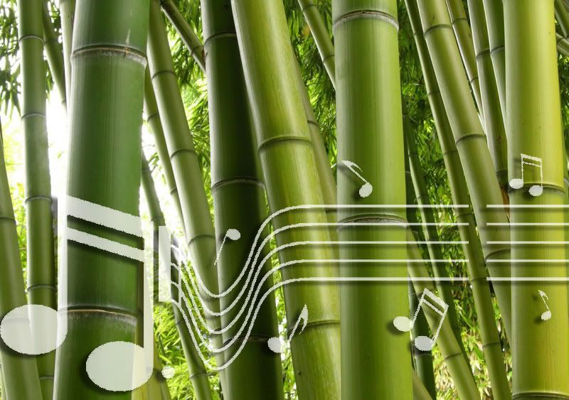 bamboo band