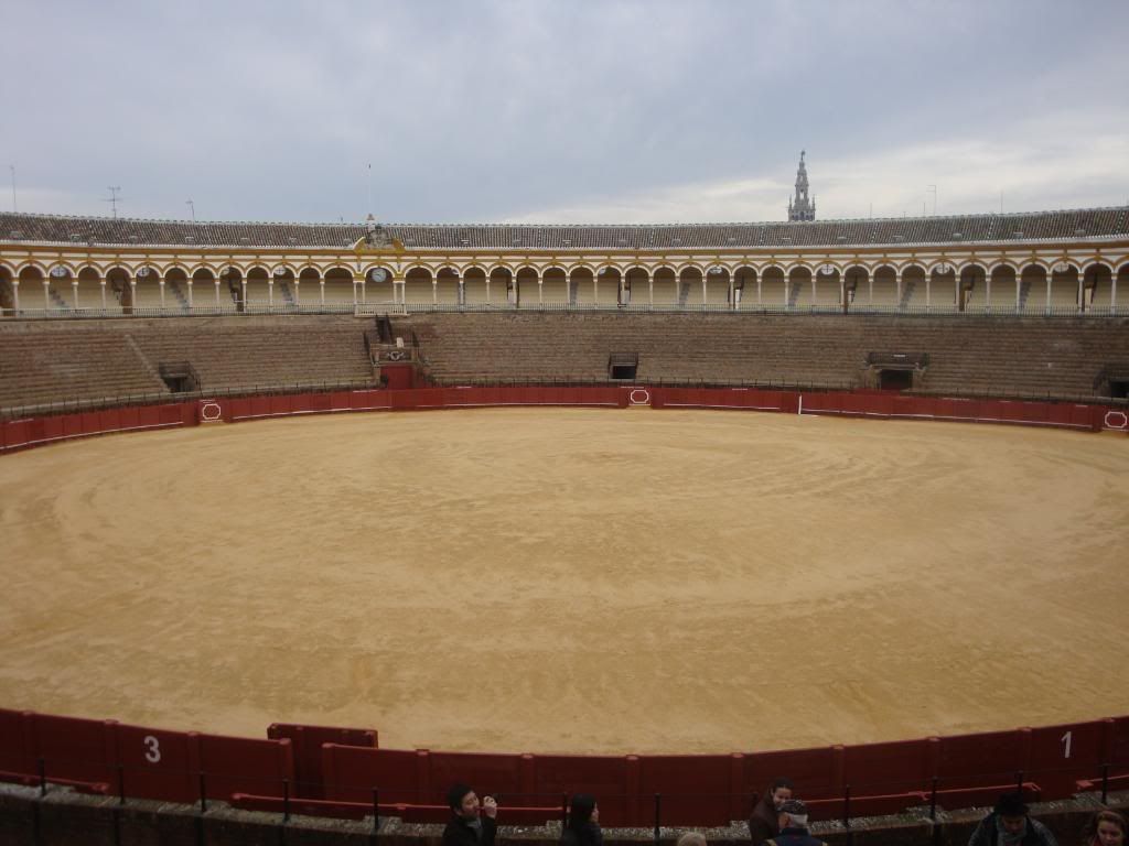 Bull Arena