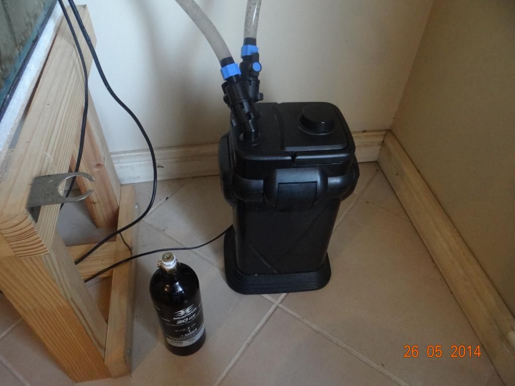 For sale FLUVAL 303,DOPHIN 1000 and co2 paintball canister APSA