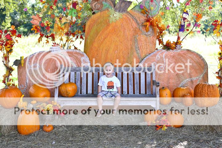  photo PumpkinPatch-10_zpsb1a34aba.jpg
