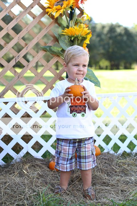  photo PumpkinPatch-5_zps87cace8d.jpg