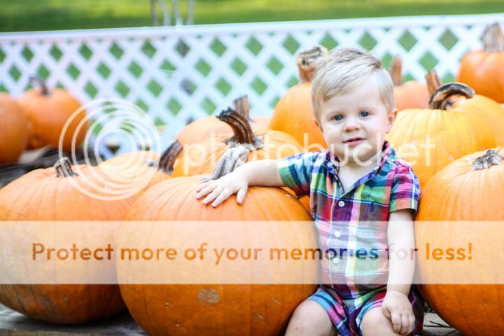  photo Blog-2_zpsanqnahio.jpg