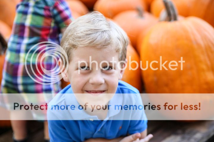  photo Blog-31_zpsakziu12o.jpg