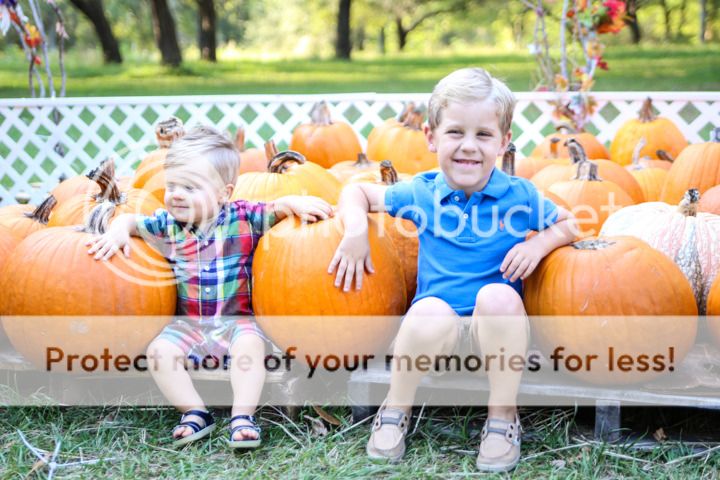  photo Blog-4_zpsfso3venj.jpg