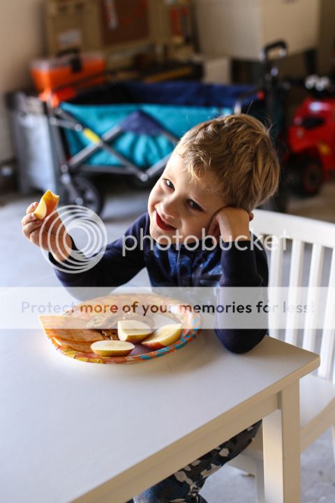  photo January-31_zpshrpfb9oo.jpg