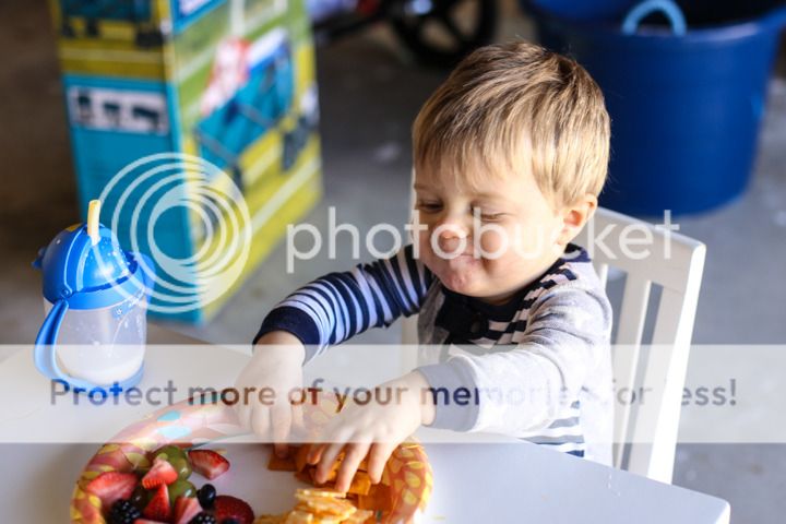  photo January-34_zps45btihw2.jpg