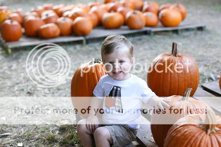  photo Blog-11_zpsiabejxpj.jpg