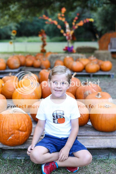  photo Blog-2_zpszynnjpln.jpg