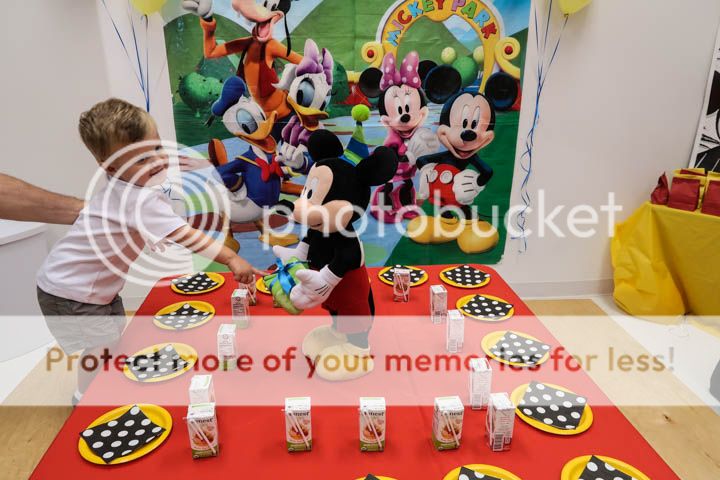  photo IMG_0430_zpsgakktsjk.jpg