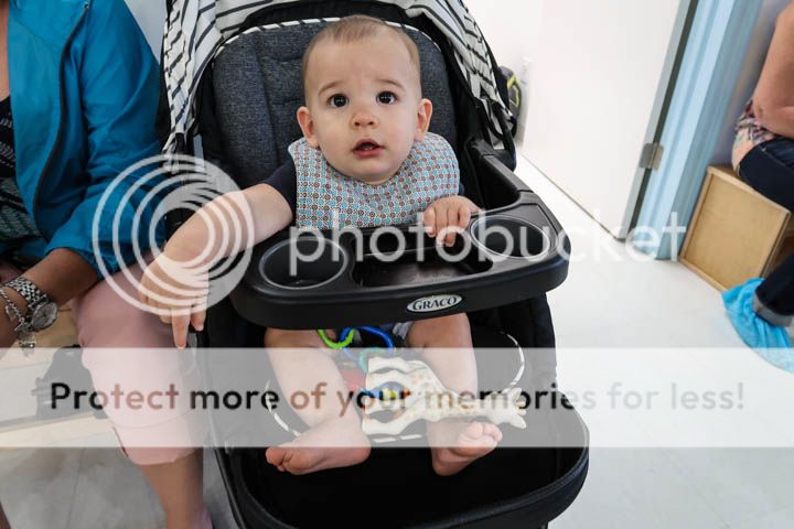  photo IMG_0452_zpsvnf2jbnk.jpg