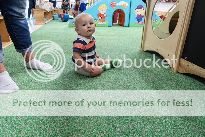  photo IMG_0460_zps97gvxncp.jpg