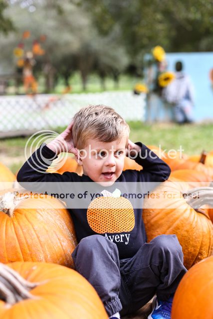  photo pumpkin patch-11_zps89qryeyn.jpg