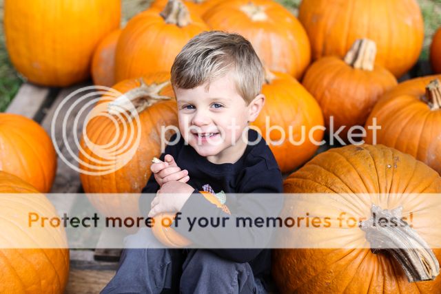  photo pumpkin patch-12_zps6t4lim95.jpg