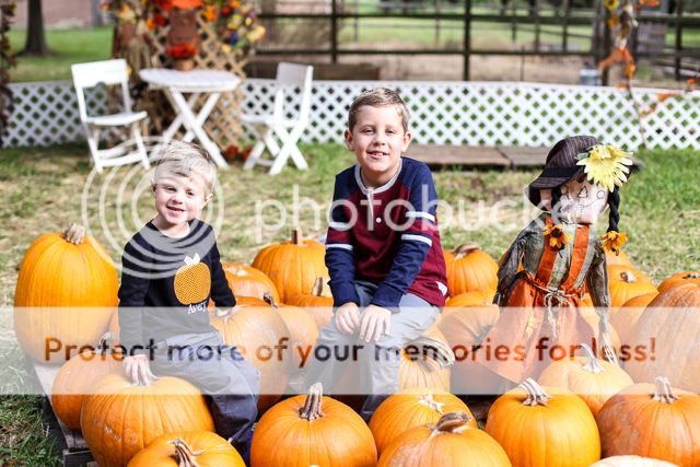  photo pumpkin patch-14_zpsgjou7xin.jpg