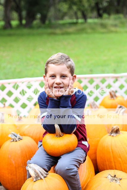  photo pumpkin patch-16_zps2t5av84b.jpg