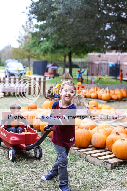  photo pumpkin patch-18_zpsycaycogk.jpg