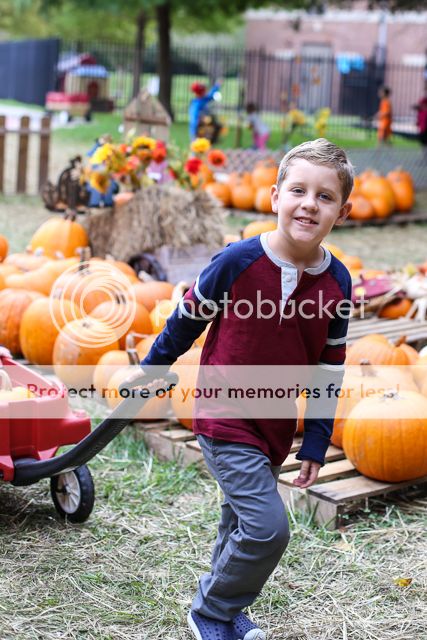  photo pumpkin patch-19_zpsa54zjxfm.jpg