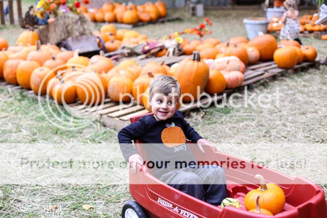  photo pumpkin patch-20_zpsvdsjka17.jpg