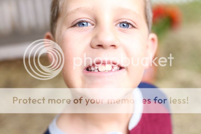  photo pumpkin patch-23_zpsnkb16rzc.jpg