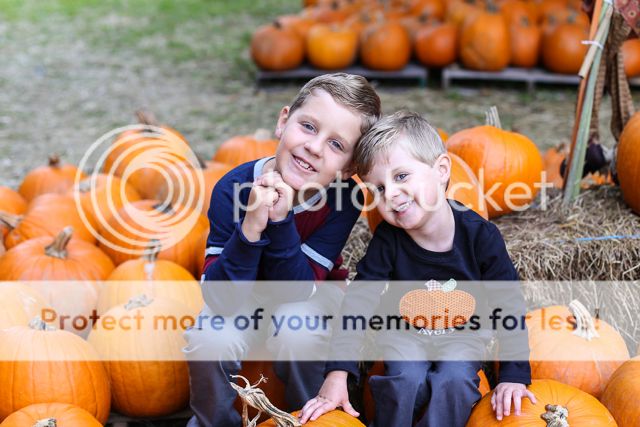  photo pumpkin patch-2_zpssg6jlu0d.jpg