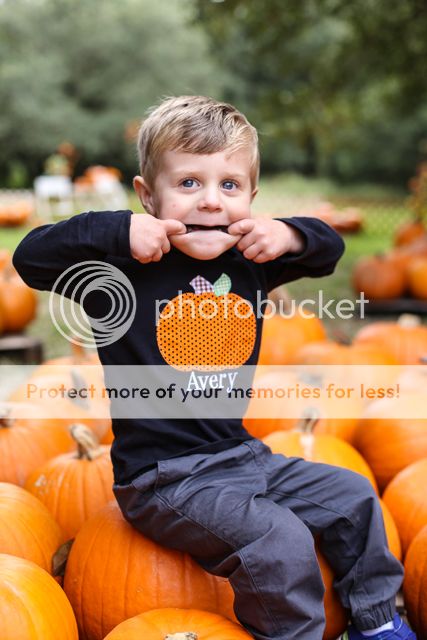  photo pumpkin patch-3_zpsotftvxsn.jpg