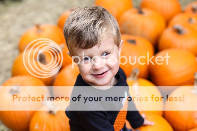  photo pumpkin patch-4_zpsjcpctgyp.jpg