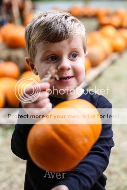  photo pumpkin patch-6_zpszu5vg2se.jpg