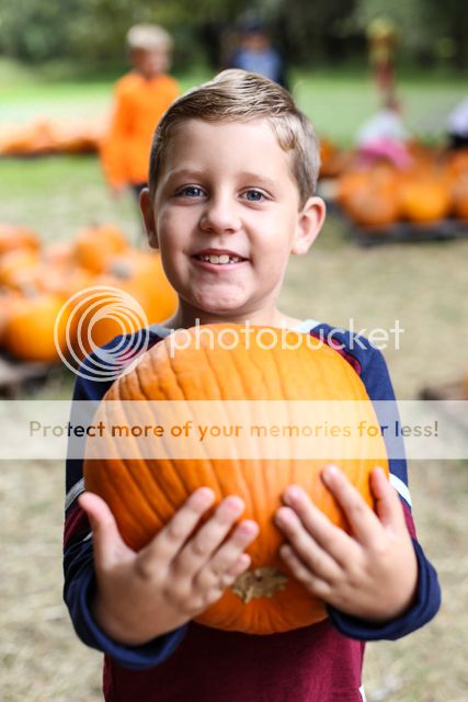  photo pumpkin patch-7_zpse8ss3t3d.jpg