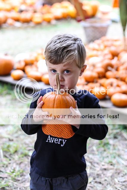  photo pumpkin patch-8_zpsahklu1an.jpg