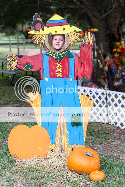  photo pumpkin patch_zpsbhvzw39u.jpg