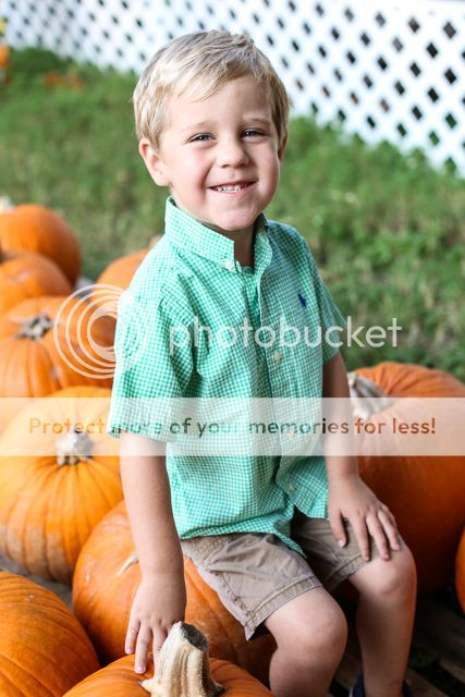  photo pumpkin patch 2011-2_zpsw6utpem8.jpg