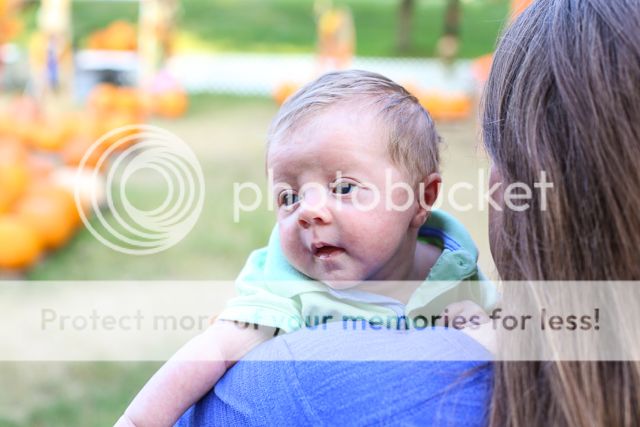  photo pumpkin patch 2011-5_zpscccv0sha.jpg