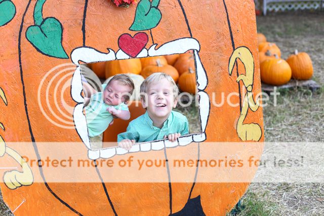  photo pumpkin patch 2011_zps5zbsbo50.jpg