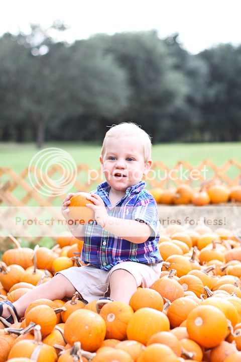  photo PumpkinPatch-11.jpg
