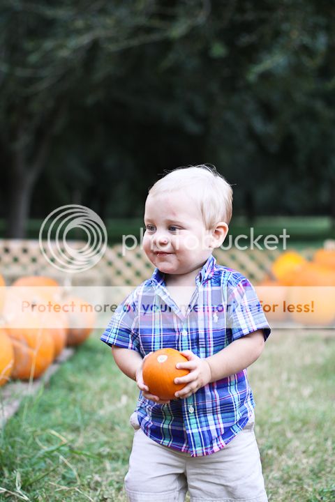  photo PumpkinPatch-21.jpg