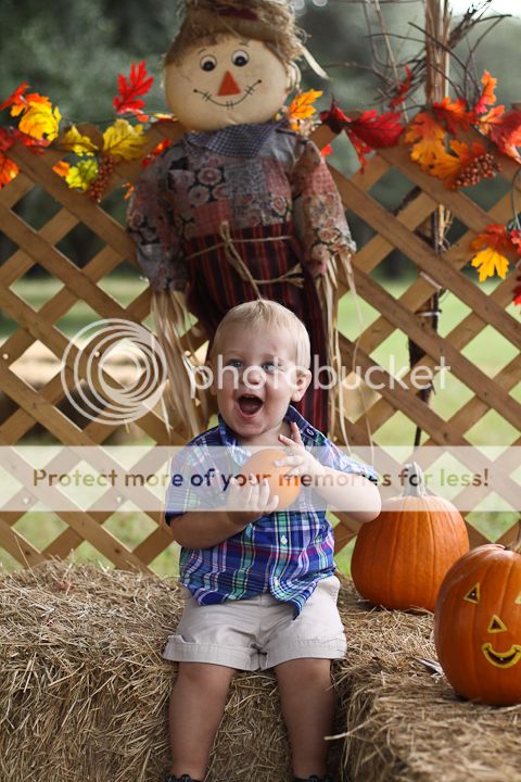  photo PumpkinPatch-6.jpg