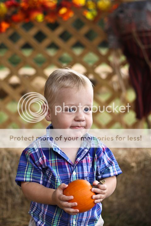  photo PumpkinPatch-8.jpg